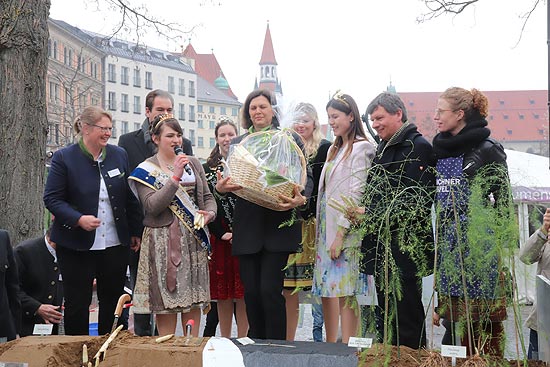 Spargelanstich mit Landtagspräsidentin Ilse Aigner und der Schrobenhausener Spargelkönigin Lena I auf dem Münchner Viktualienmarkt (©Foto: Martin Schmitz)
